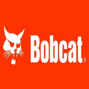Bobcat